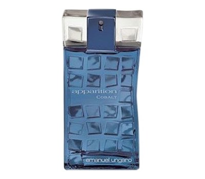 Emanuel Ungaro Apparition Cobalt men