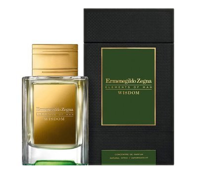 Ermenegildo Zegna Wisdom 132592