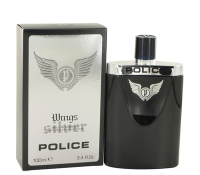 Police Silver Wings