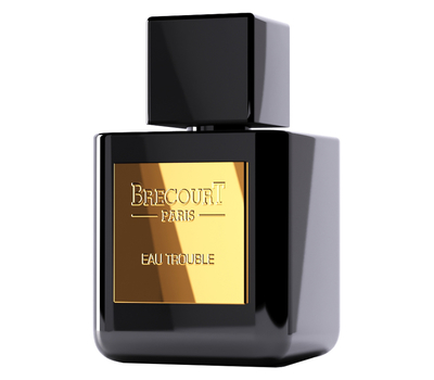 Brecourt Eau Trouble 143738