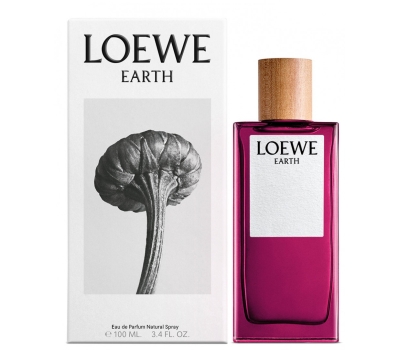 Loewe Earth