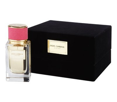 Dolce Gabbana (D&G) Velvet Rose 62567